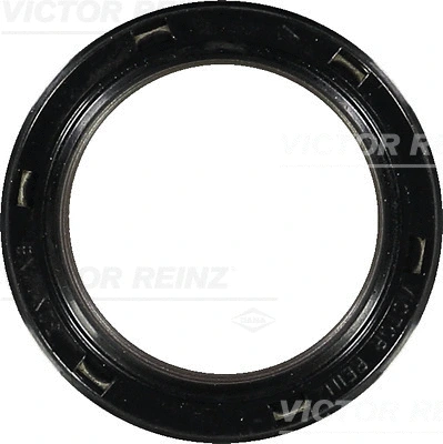 VICTOR REINZ 813446100