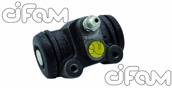 CIFAM 101675