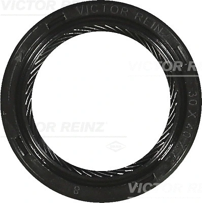 VICTOR REINZ 811551250