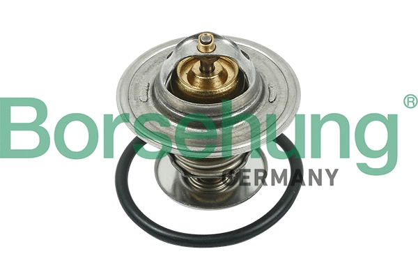 BORSEHUNG B13141