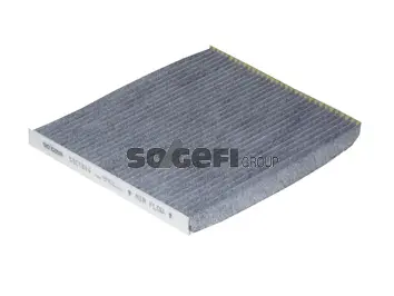FRAM CFA10365
