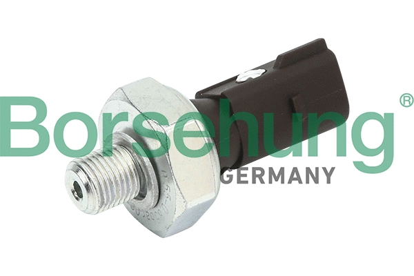 BORSEHUNG B13137