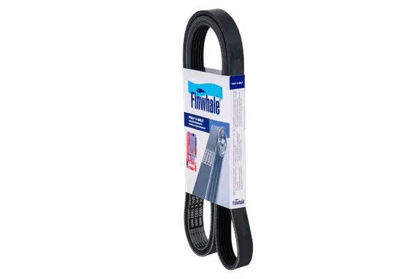 FINWHALE BP6PK1893
