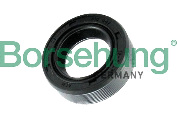 BORSEHUNG B17837