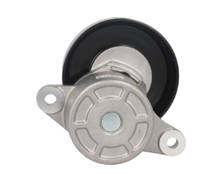 DAYCO APV2583
