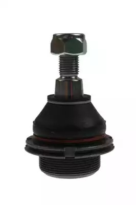 FORTUNE LINE FZ3260