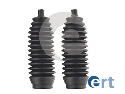 ERT 102074