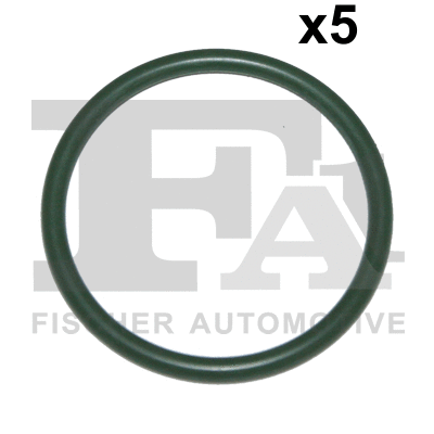 FA1 479416005