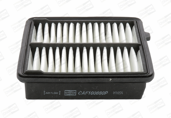 CHAMPION CAF100880P