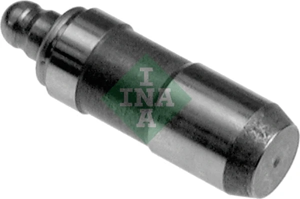 INA 420019810