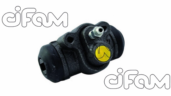 CIFAM 101921