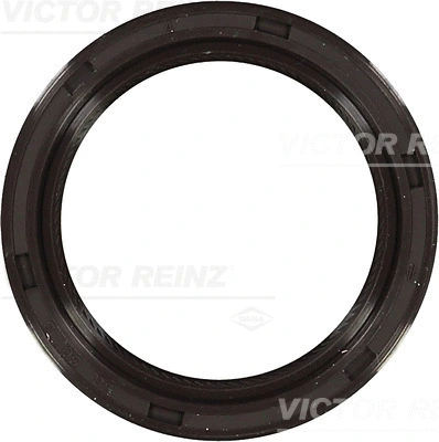 VICTOR REINZ 815325600