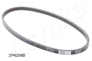 ASHIKA 1123PK645