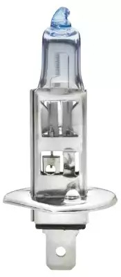 BOSCH 1987302118