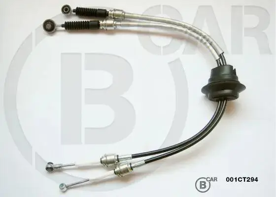 B CAR 001CT294