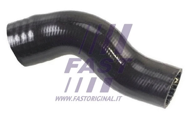 FAST FT61731