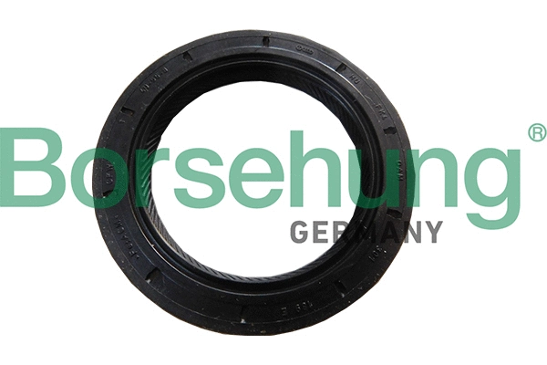 BORSEHUNG B18791