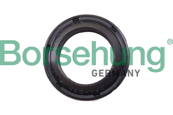 BORSEHUNG B17833