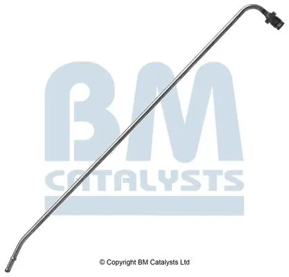 BM CATALYSTS PP31021B