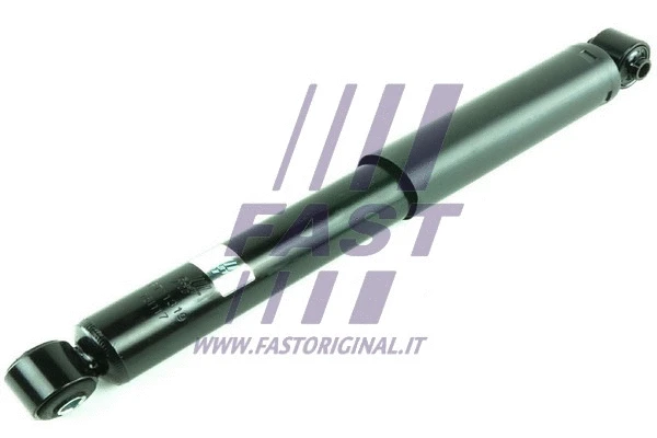 FAST FT11319