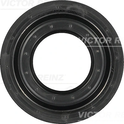 VICTOR REINZ 813119300