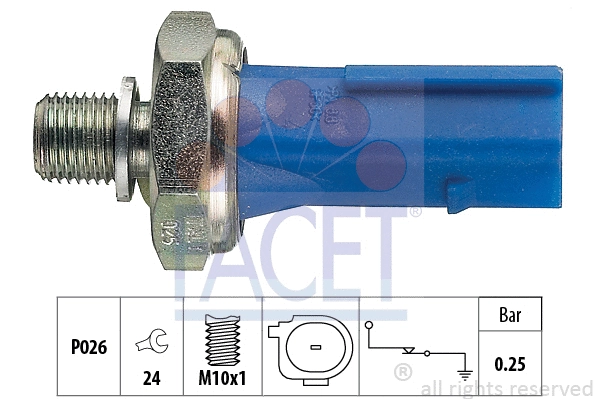 FACET 70133