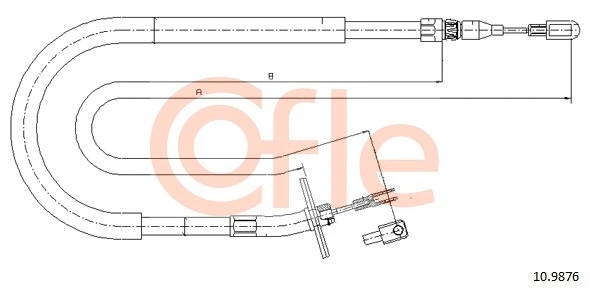 COFLE 109876