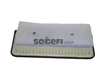 FRAM CA10296