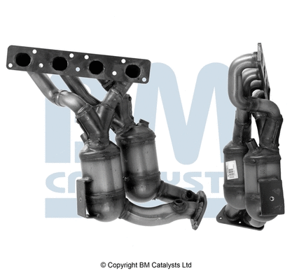 BM CATALYSTS BM91509H