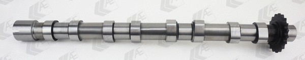 AE CAM1018