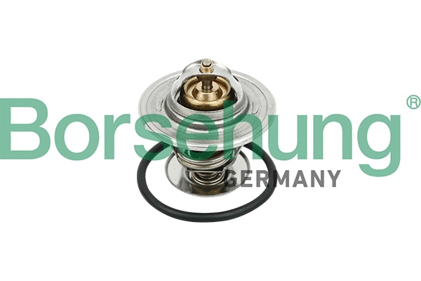 BORSEHUNG B18281