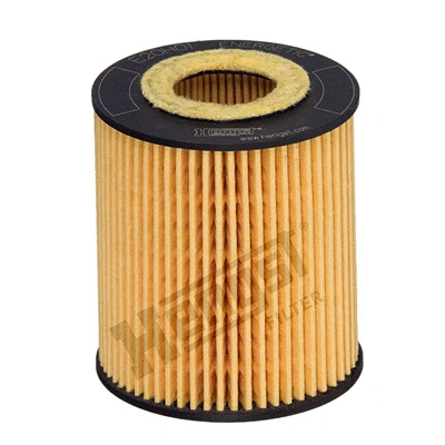 HENGST E20H01D293