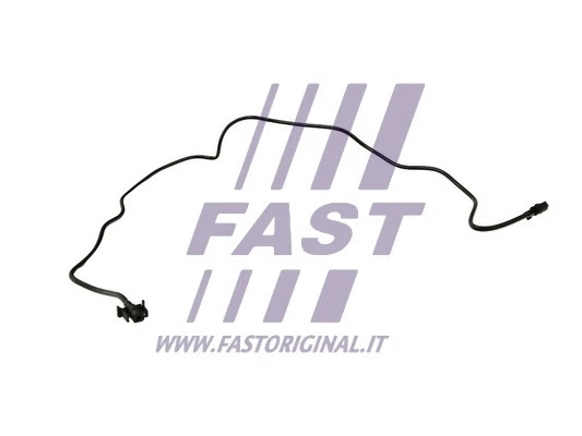 FAST FT61019