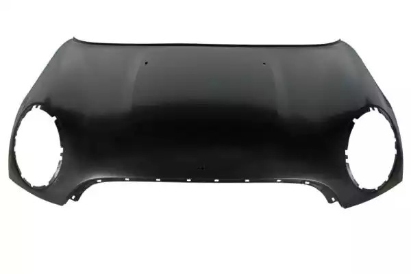 BMW 41617318365
