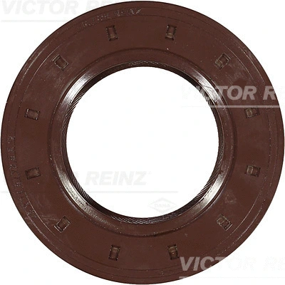VICTOR REINZ 811732820