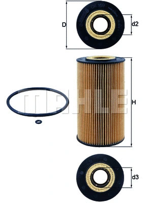 KNECHT OX169D
