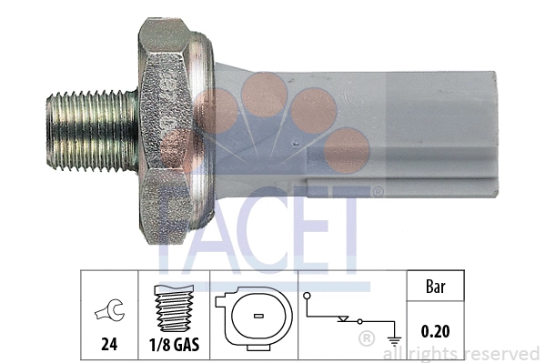 FACET 70187