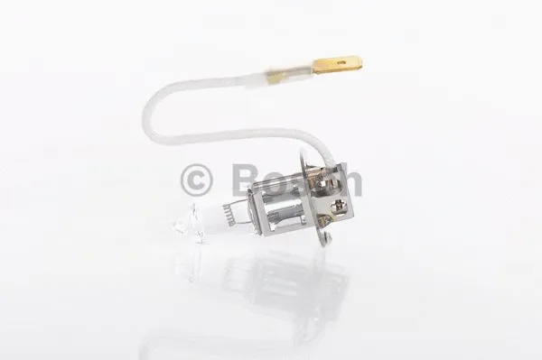 BOSCH 1987302861