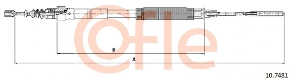 COFLE 107481
