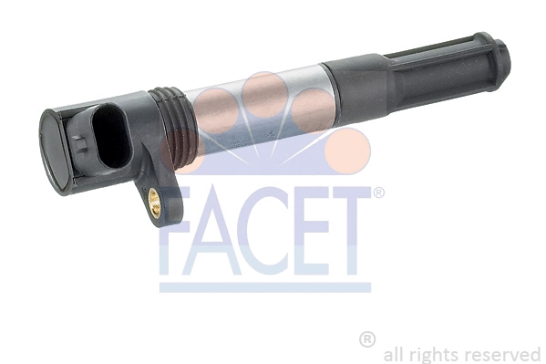 FACET 96342