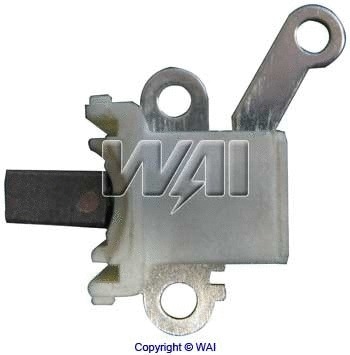 WAI 398213