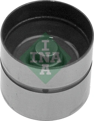 INA 420006210