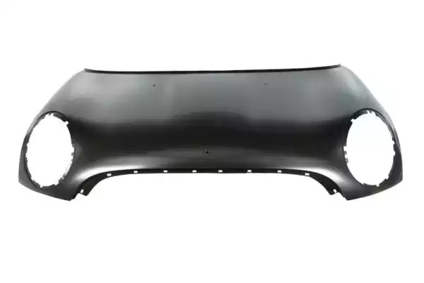 BMW 41612754738