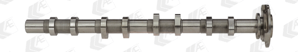 AE CAM919