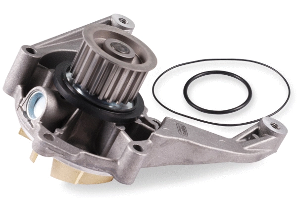 HEPU P1729