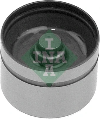 INA 420004210