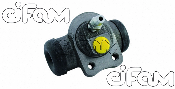 CIFAM 101301