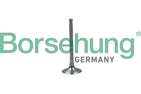 BORSEHUNG B19024