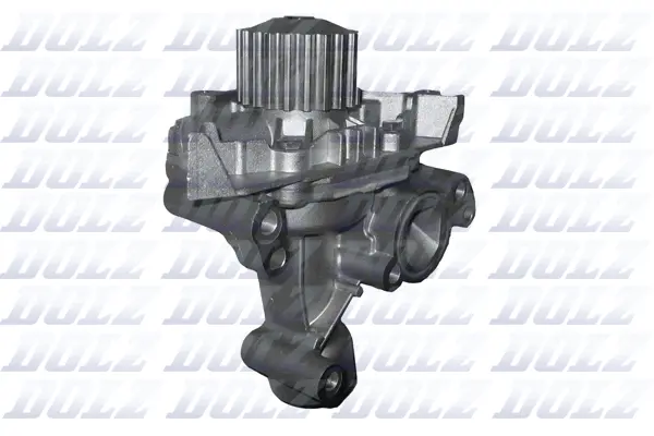 DOLZ C138