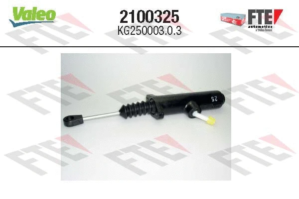 FTE 2100325
